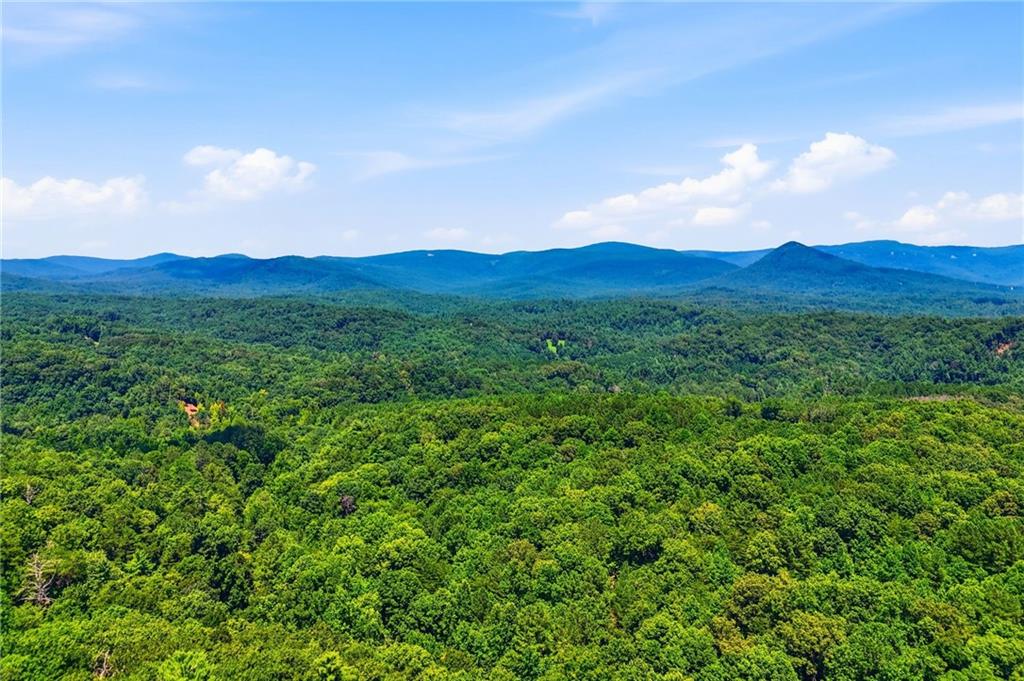 290 Sharptop Ridge Road Jasper, GA 30143 - Photo 61 of 61 Gallery Image 61