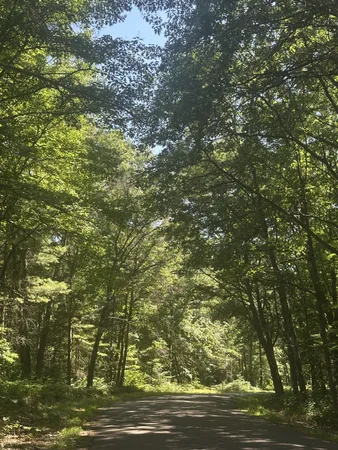 $49,900 | Lot 1 271st Street, Holcombe, WI 54745