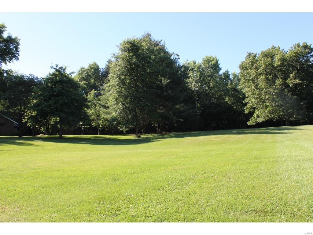 8549 East Kirsch Road Troy, IL 62294 - Photo 16 of 45