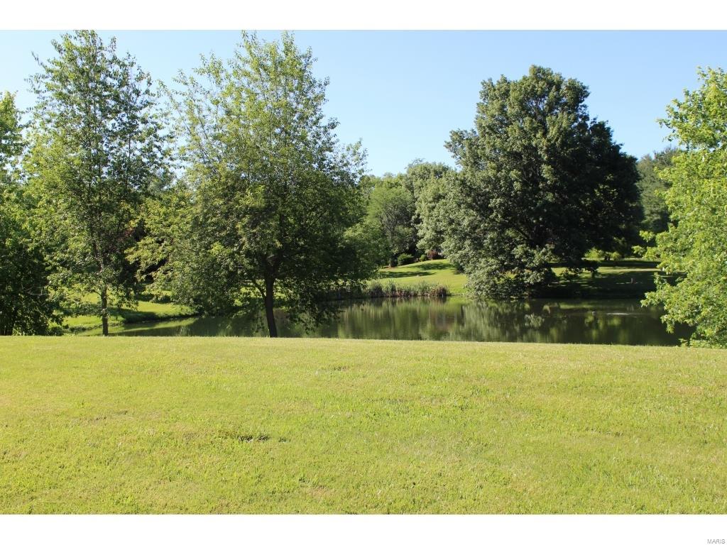 8549 East Kirsch Road Troy, IL 62294 - Photo 4 of 45