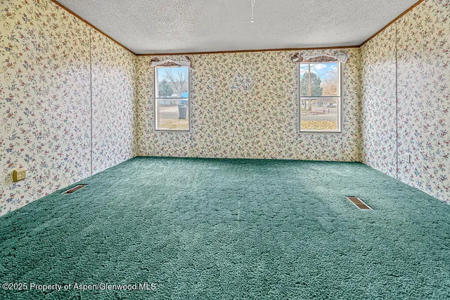 a view of a yard with large tree