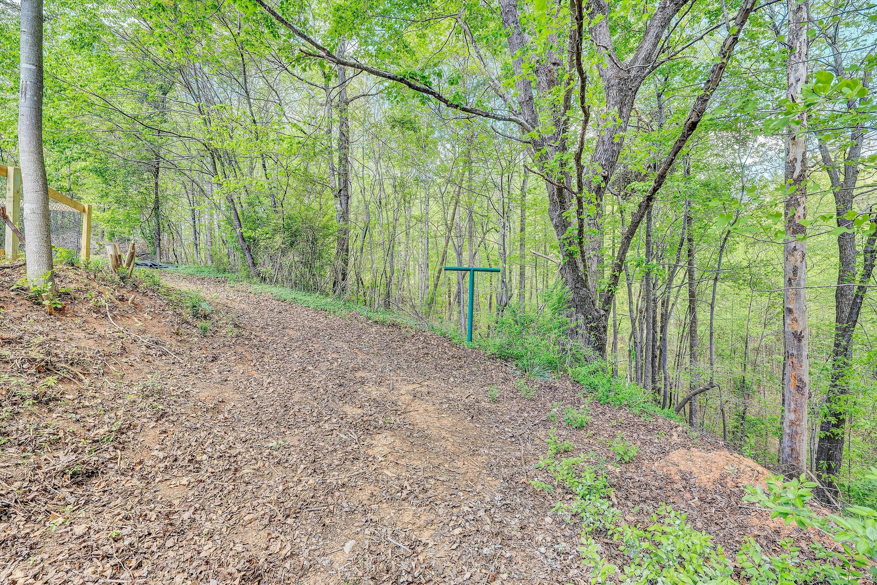 402 Harmony Road Boones Mill, VA 24065 - Photo 31 of 36 31-SGP-03319