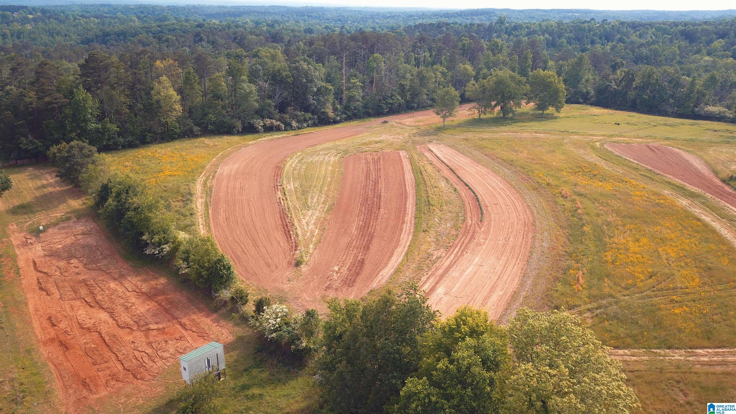 565 Rb Shadrix Road Hayden, AL 35079 - Photo 4 of 49