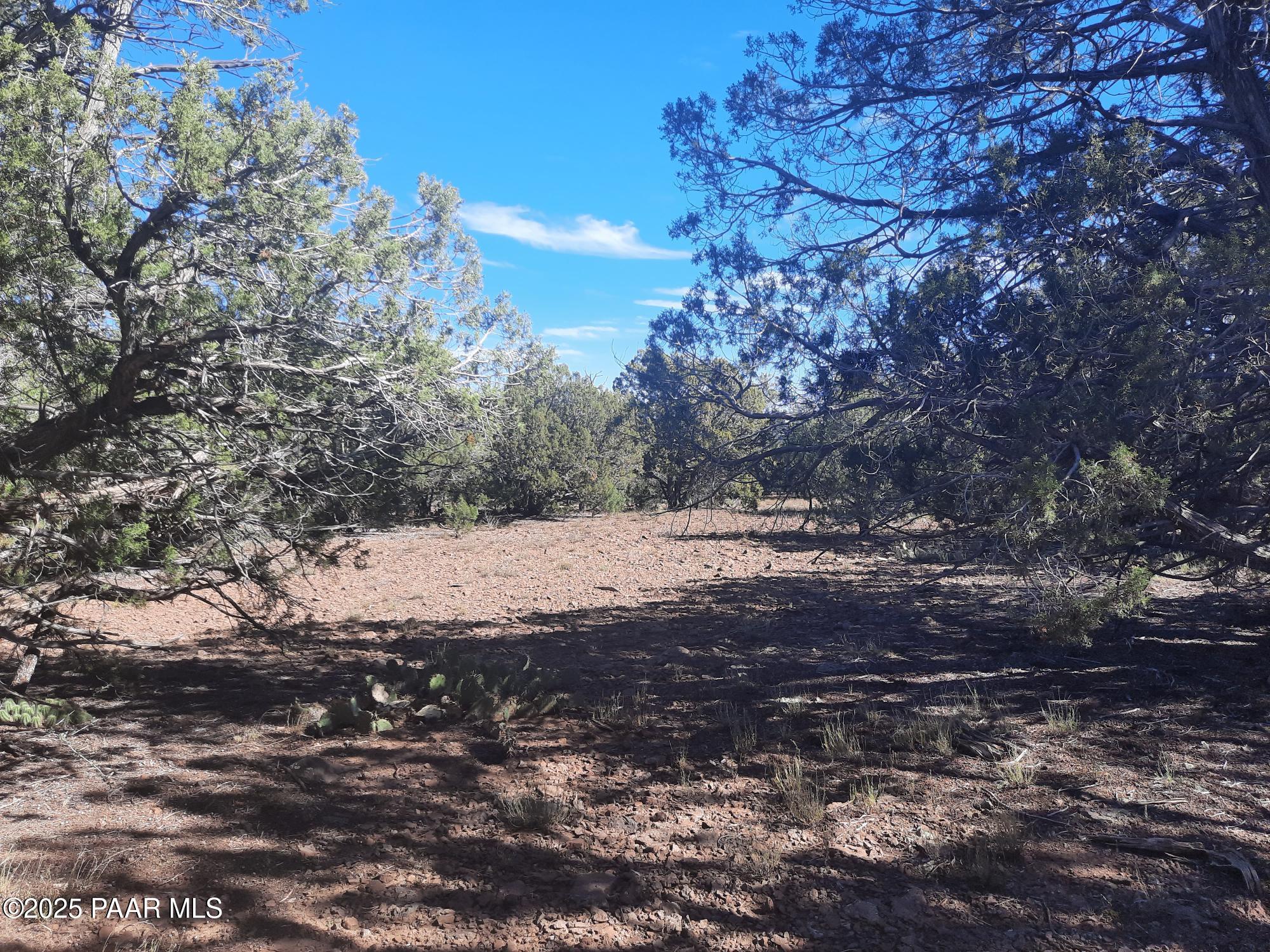 Lot 602 Edge Ridge Road Seligman, AZ 86337 - Photo 8 of 10 20251021_131002