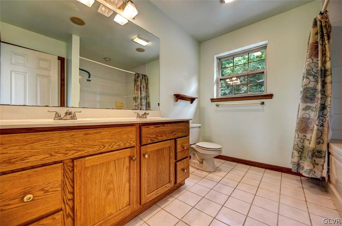 2242 Hill Road Effort, PA 18330 - Photo 20 of 50 a bathroom with a sink a toilet and mirror