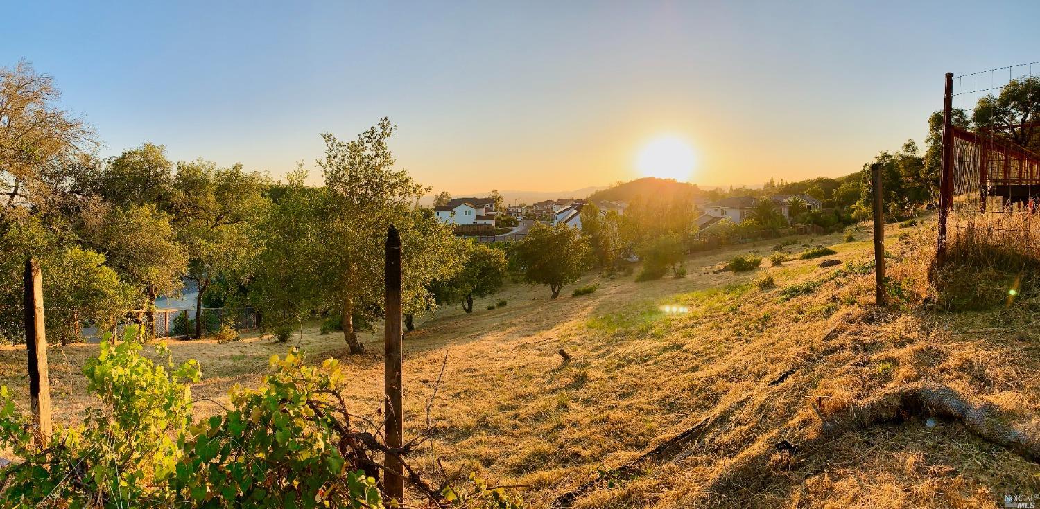 3584 Alkirst Court Santa Rosa, CA 95403 - Photo 1 of 14 a view of a yard with a tree