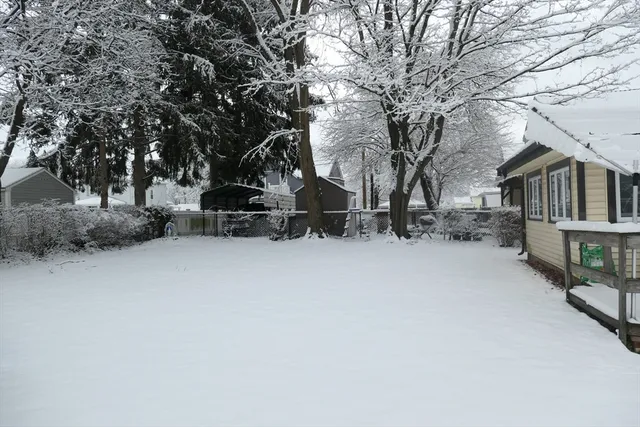 a view of backyard with wooden fence and large trees
