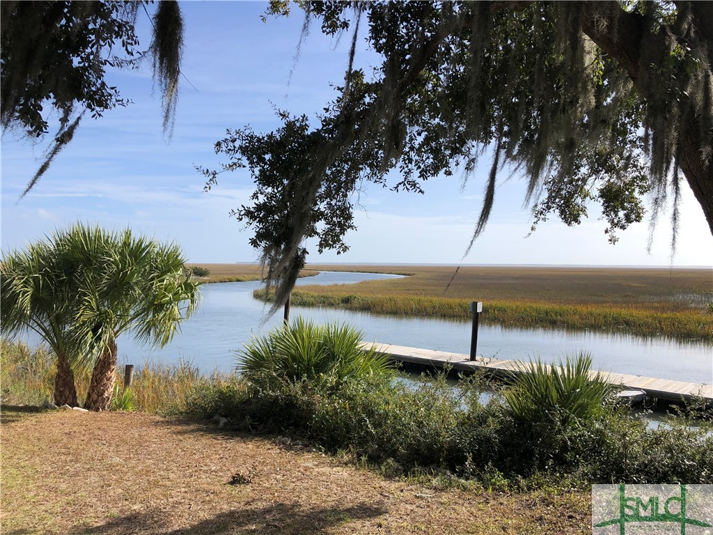 36 Salt Marsh Drive Midway, GA 31320 - Photo 48 of 50