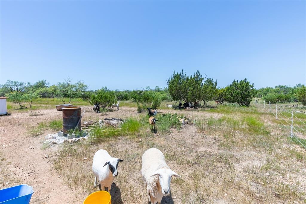 132 Anderson Road Wingate, TX 79566 - Photo 38 of 39