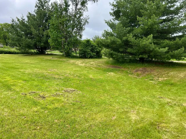 $24,900 | Xxx Roosevelt Avenue, Deerwood, MN 56444