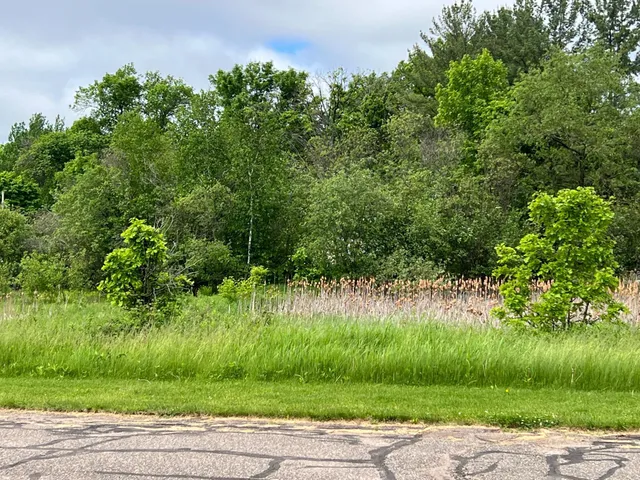 $24,900 | Xxx Roosevelt Avenue, Deerwood, MN 56444