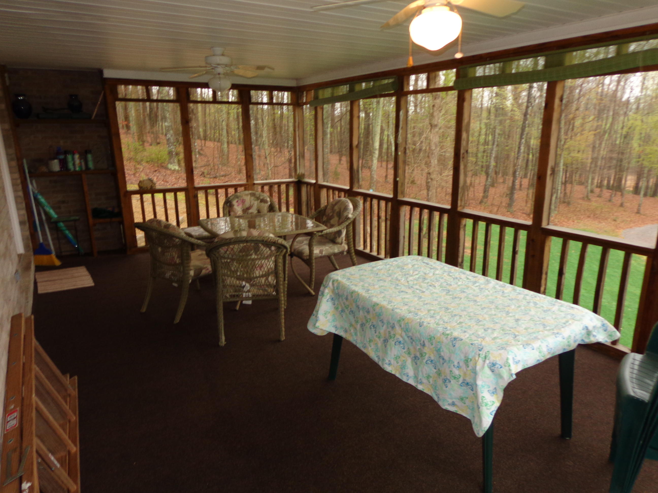 8353 Greenbriar Road Talbott, TN 37877 - Photo 21 of 40 #561547 greenbriar (20)