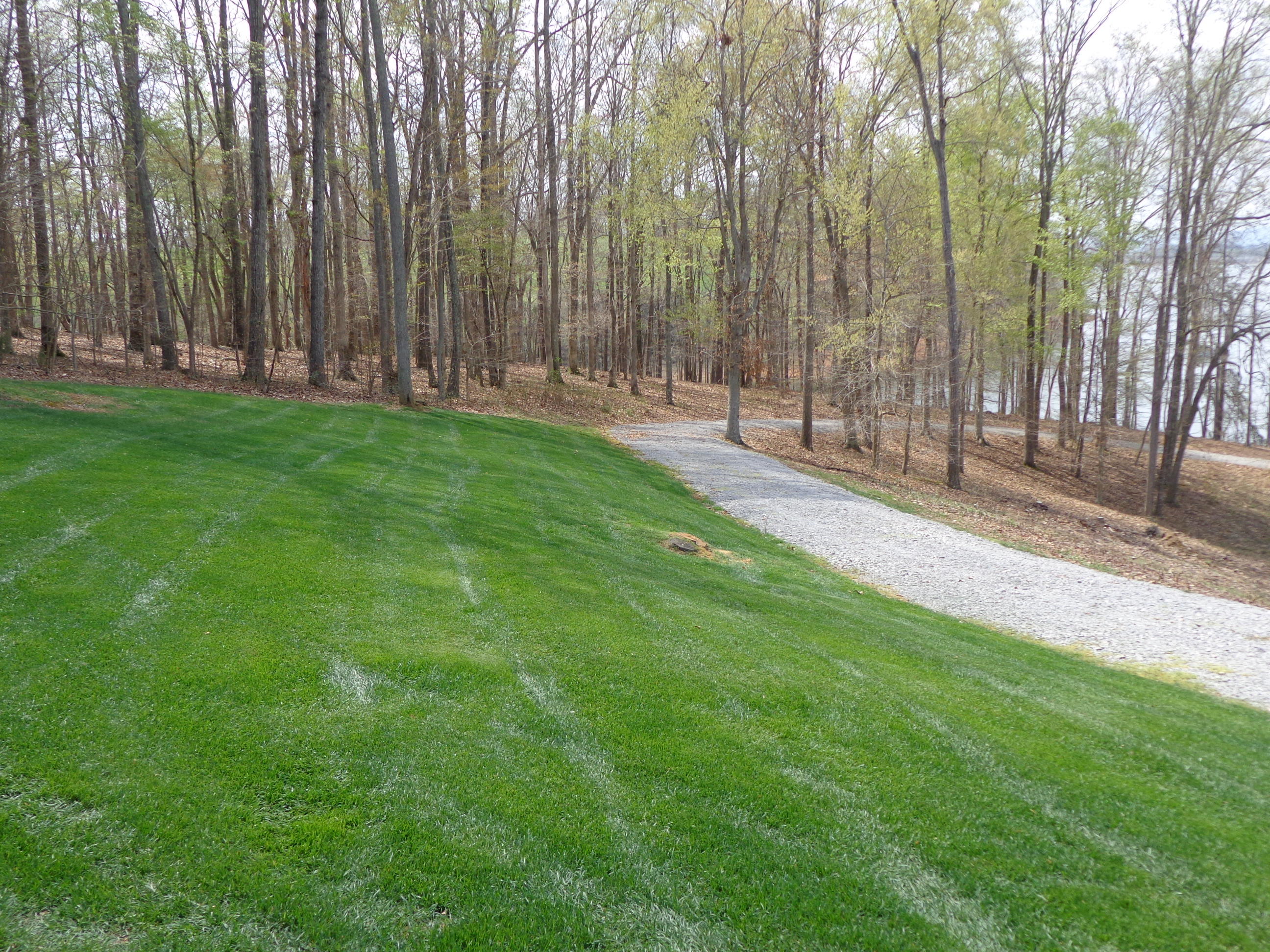 8353 Greenbriar Road Talbott, TN 37877 - Photo 34 of 40 #561547 greenbriar (65)