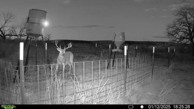 $237,500 | 163 Campbell Lane, Jacksboro, TX 76458