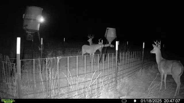 $237,500 | 163 Campbell Lane, Jacksboro, TX 76458