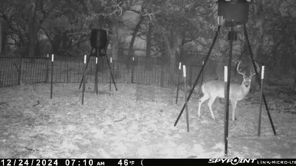 $237,500 | 163 Campbell Lane, Jacksboro, TX 76458