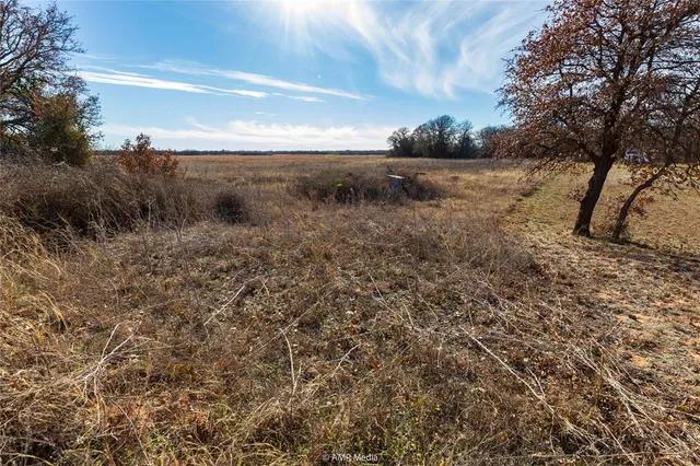 a view of a dry yard with trees