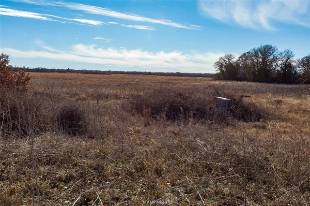 a view of a field with large trees