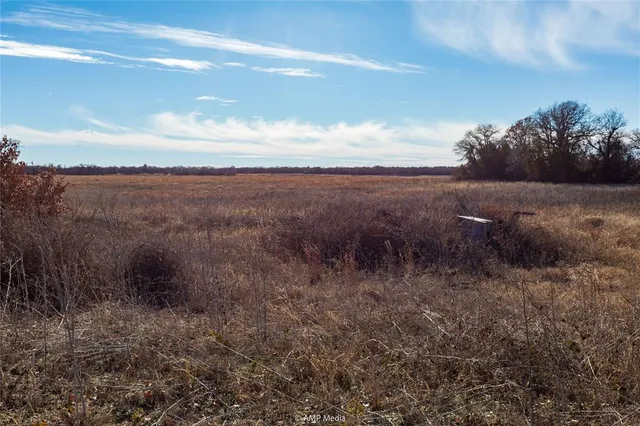 a view of a dry yard with wooden fence