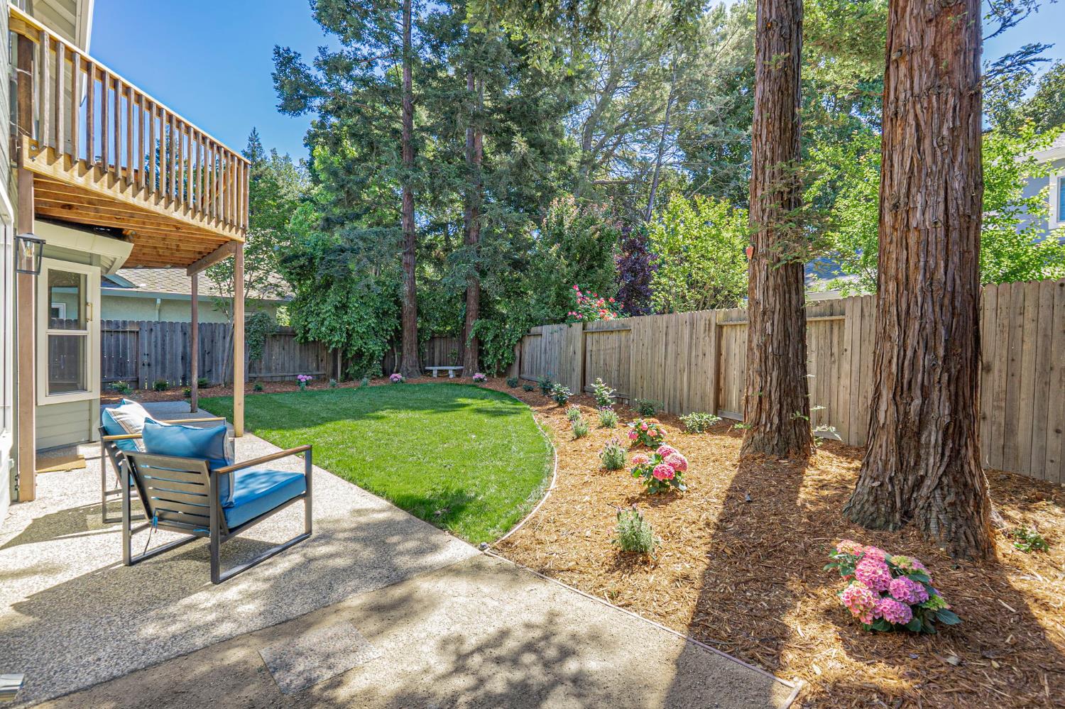 3718 Maidu Place Davis, CA 95618 - Photo 33 of 50 a view of backyard with seating space and trees