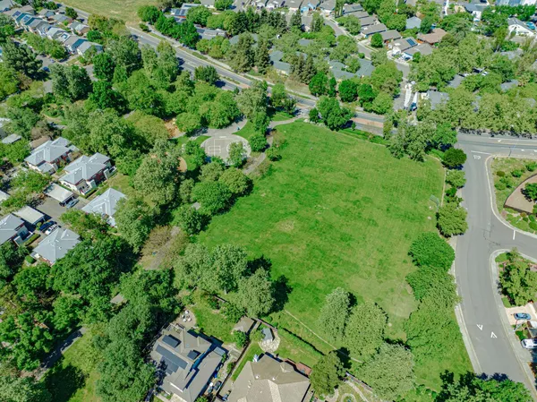 view of a green field