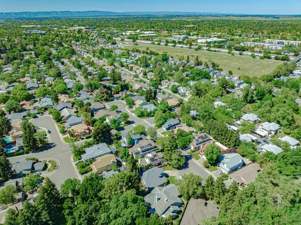 a big yard with lots of green space and plants