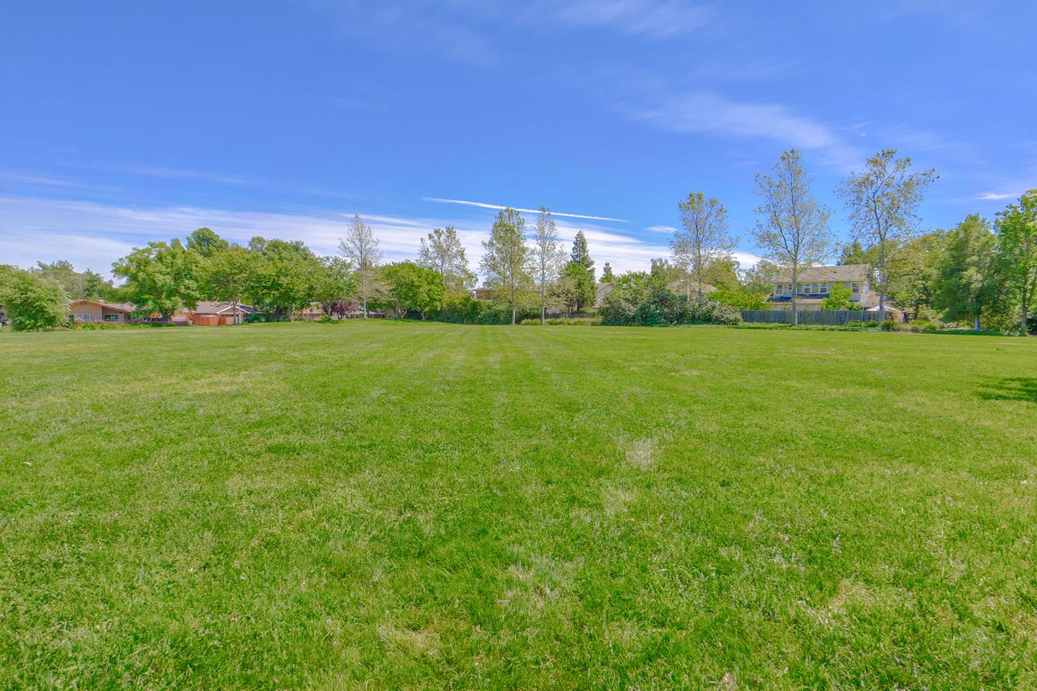 3718 Maidu Place Davis, CA 95618 - Photo 45 of 50 a view of a green field with trees in the background