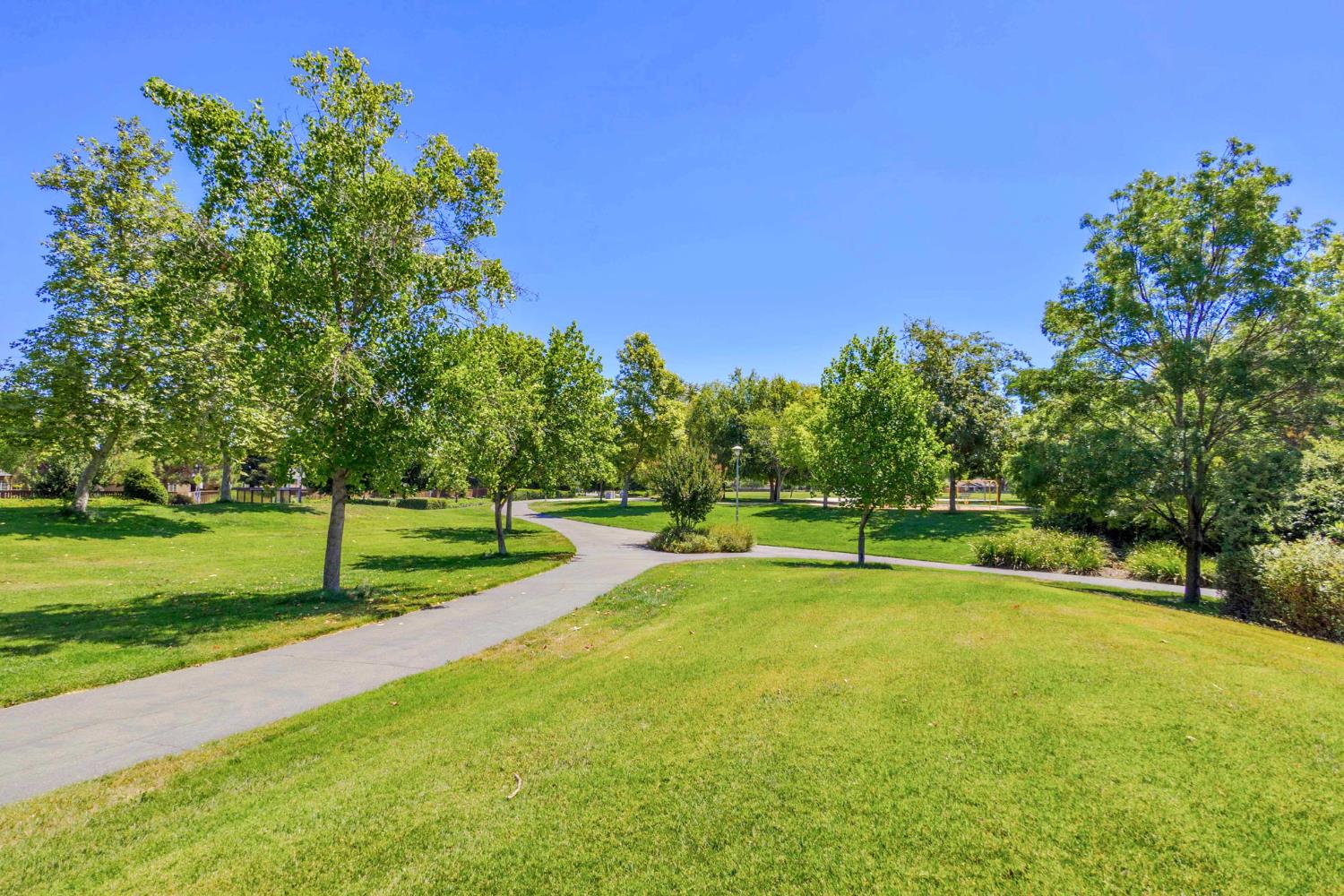 3718 Maidu Place Davis, CA 95618 - Photo 46 of 50 a view of a park with large trees