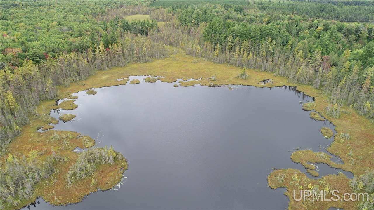 Tbd Hayward Road Munising, MI 49862 - Photo 7 of 15