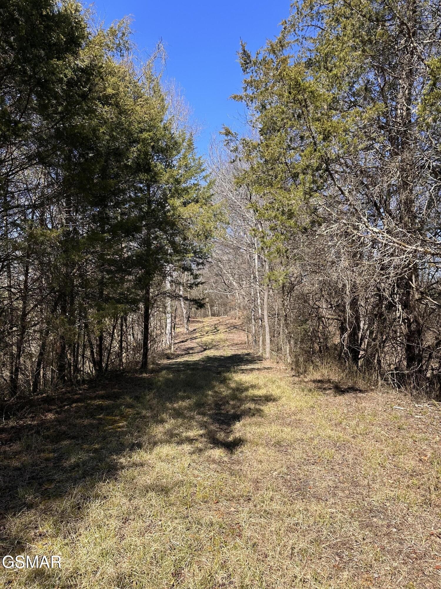 24265 South Mohawk Road Midway, TN 37809 - Photo 49 of 56