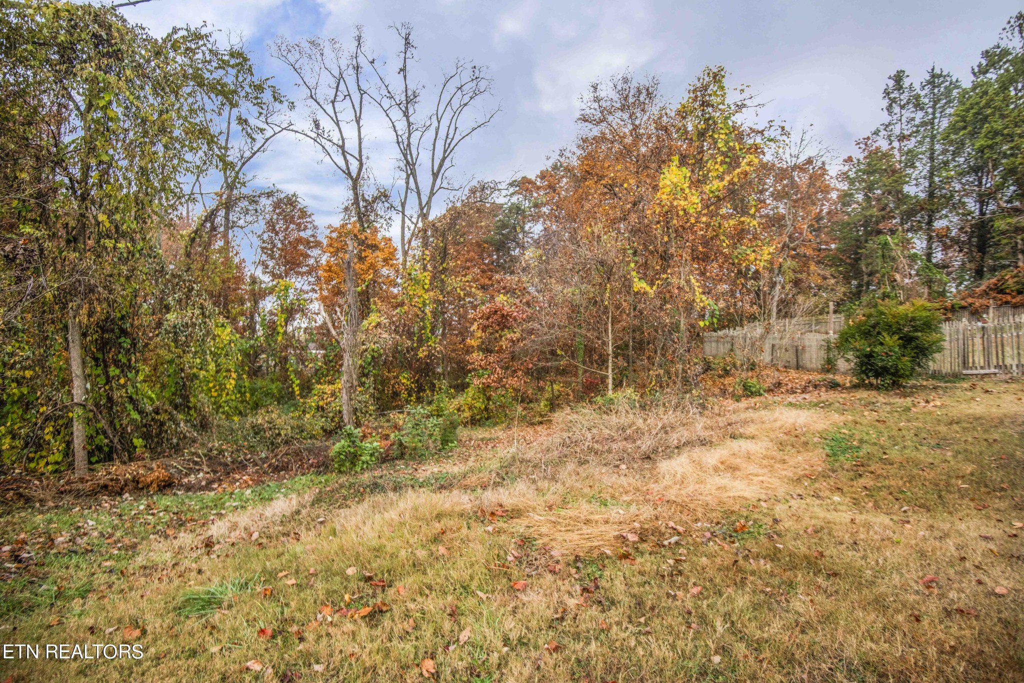 413 Kendall Road Knoxville, TN 37919 - Photo 47 of 51 Gallery Image 47