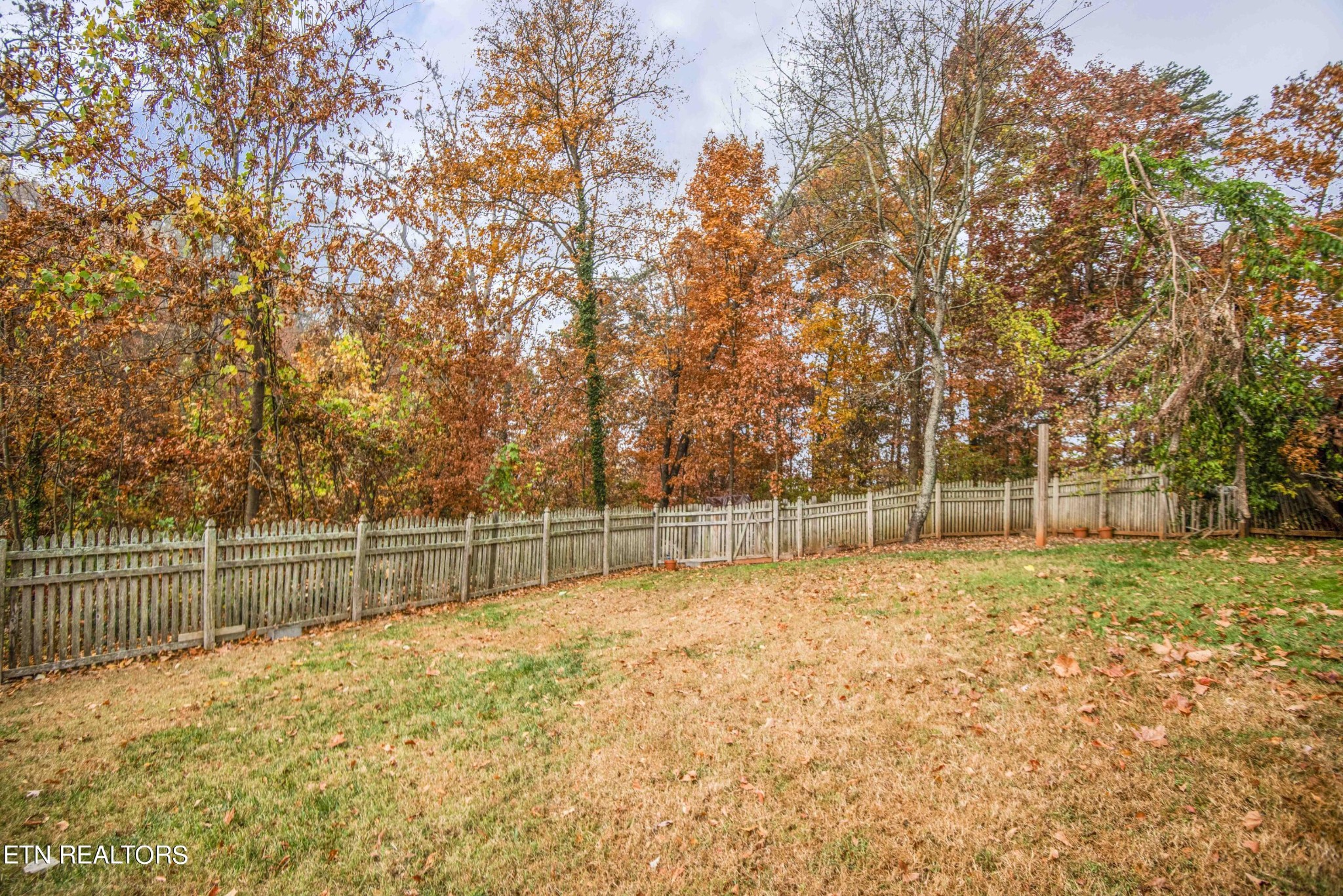 413 Kendall Road Knoxville, TN 37919 - Photo 49 of 51 Gallery Image 49