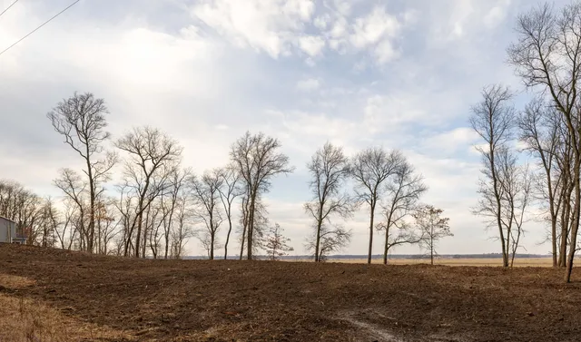 a view of yard with trees