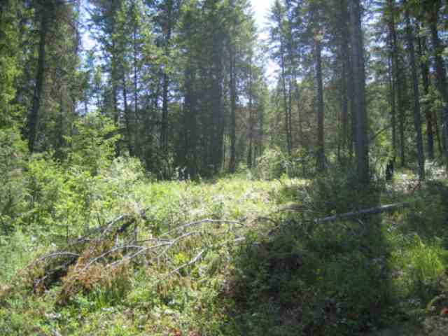1 First Thought Loop Laurier, WA 99146 - Photo 1 of 4 Gallery Image 1