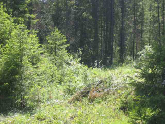 1 First Thought Loop Laurier, WA 99146 - Photo 2 of 4 Gallery Image 2