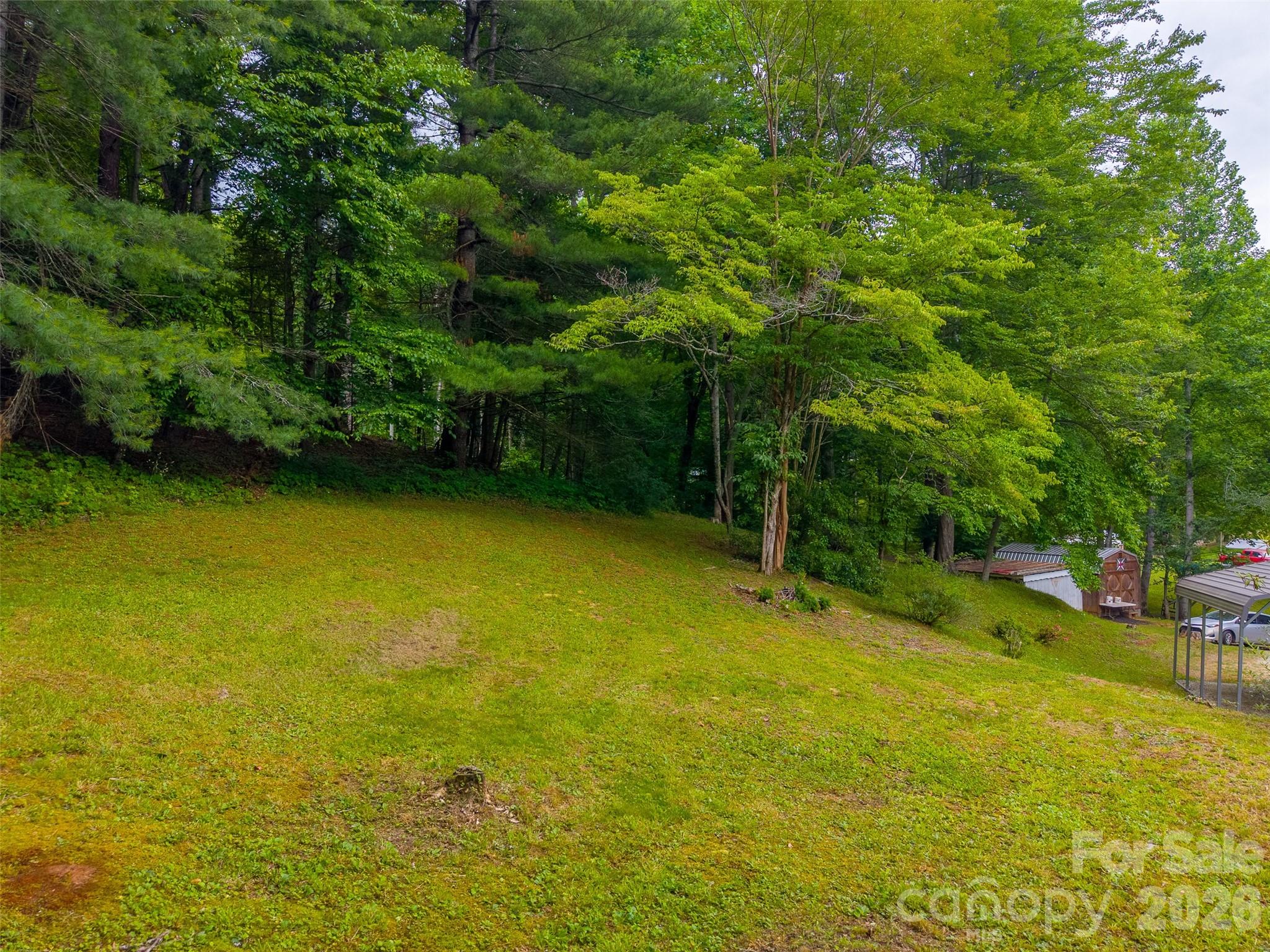 1350 North Skeenah Road Franklin, NC 28734 - Photo 34 of 40