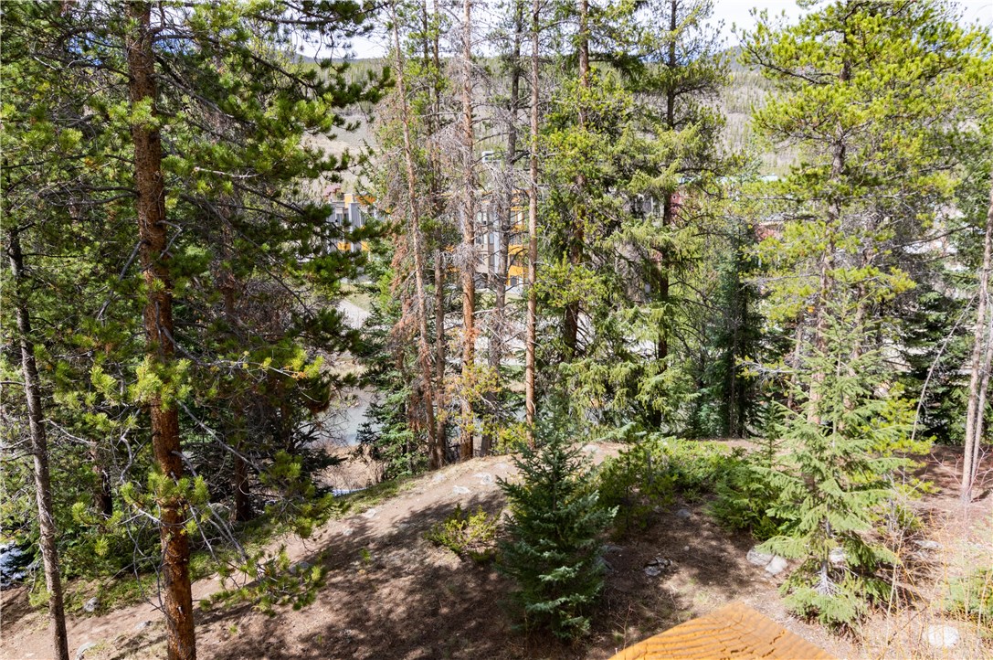 17 Lake Ridge Circle, Unit 1833 Keystone, CO 80435 - Photo 9 of 35 Gallery Image 9