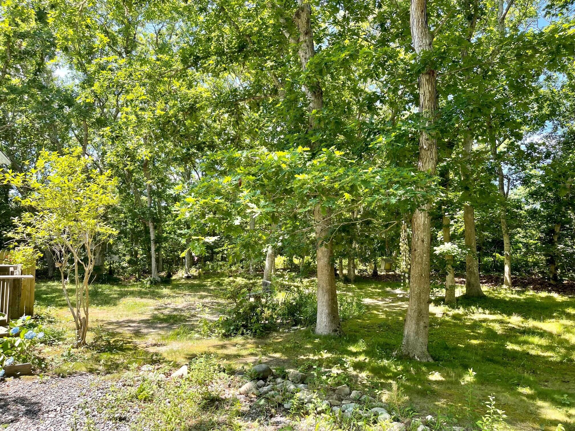 8 Boylston Drive Edgartown, MA 02539 - Photo 16 of 17 a view of outdoor space
