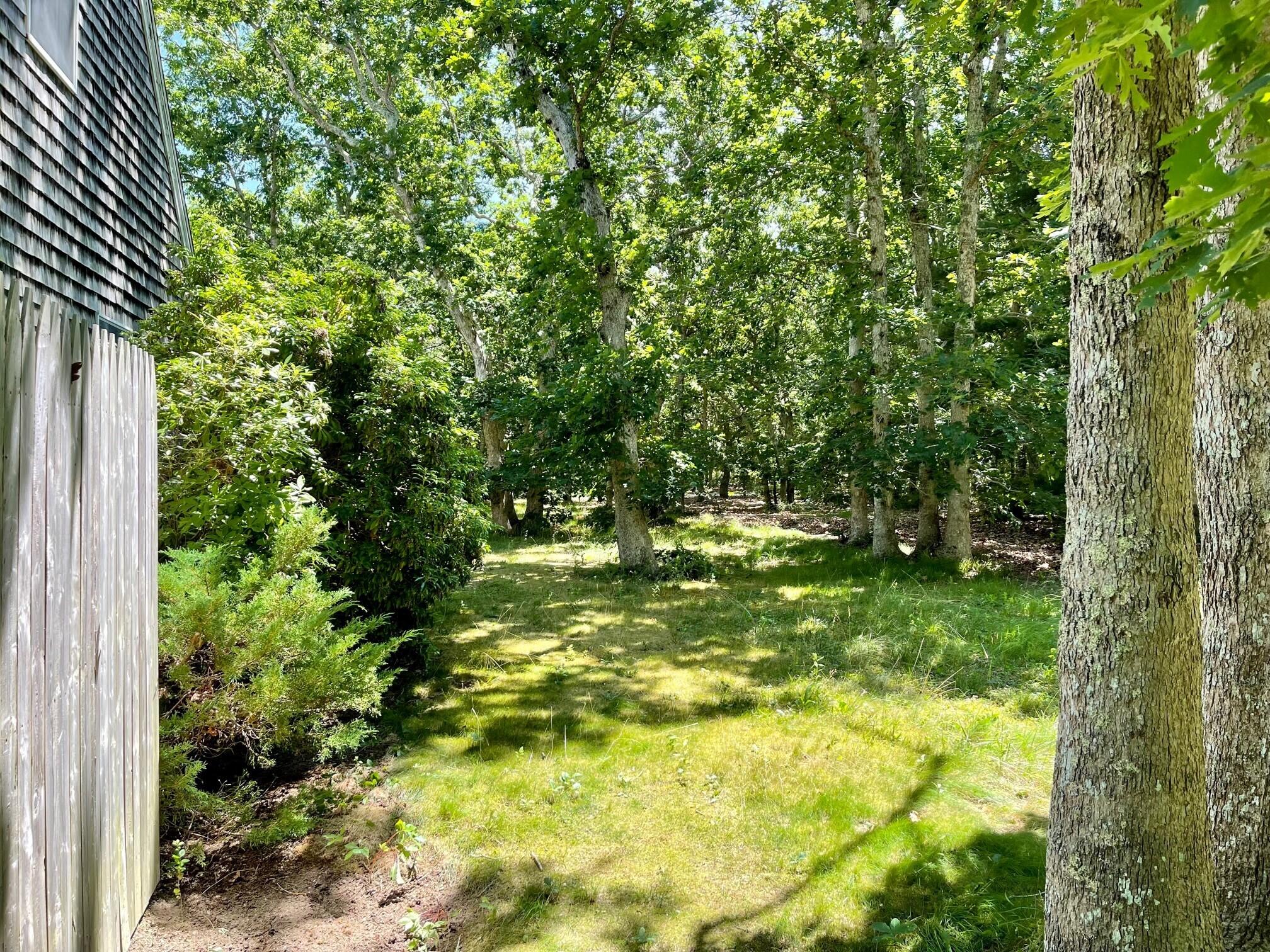 8 Boylston Drive Edgartown, MA 02539 - Photo 17 of 17 a view of yard with green space