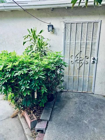 a plant is in front of a building