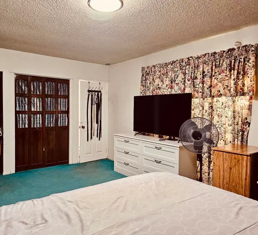 a bedroom with a bed and a television
