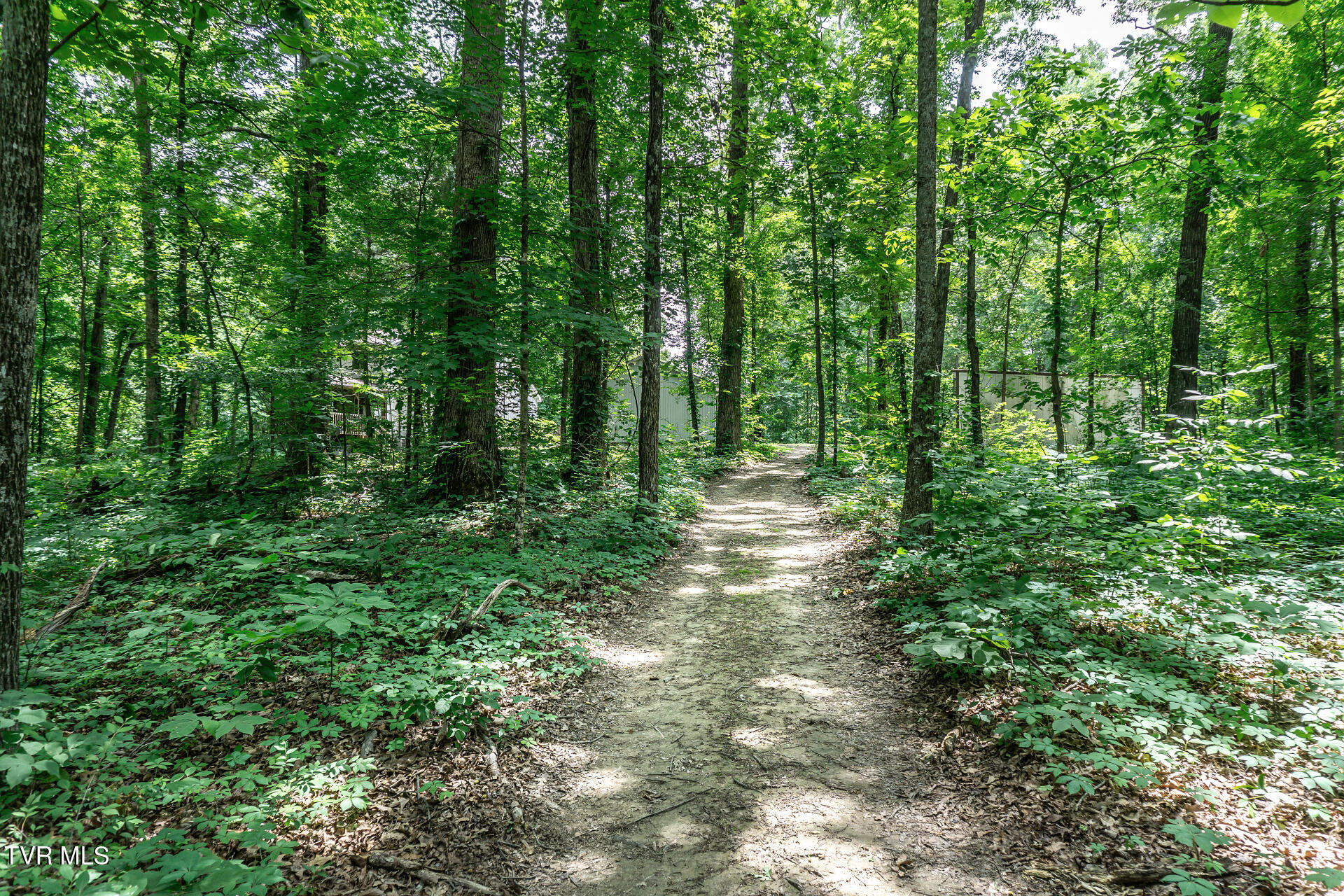835 Pike Road Greeneville, TN 37745 - Photo 55 of 63 835PikeRdB_054