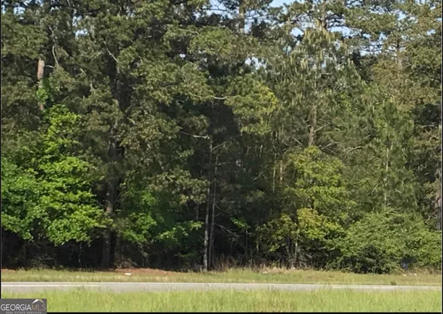 $362,500 | Lot 17 Hwy 82 Leesburg Ga 31763, Leesburg, GA 31763