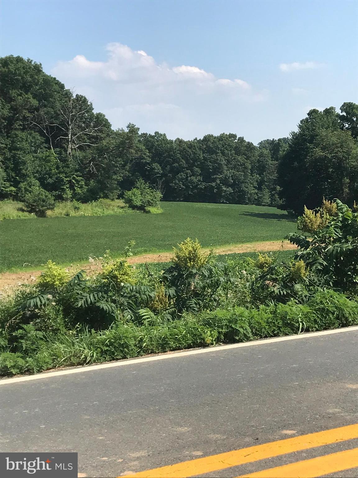 Carrollton Road Finksburg, MD 21048 - Photo 2 of 2 a view of a yard