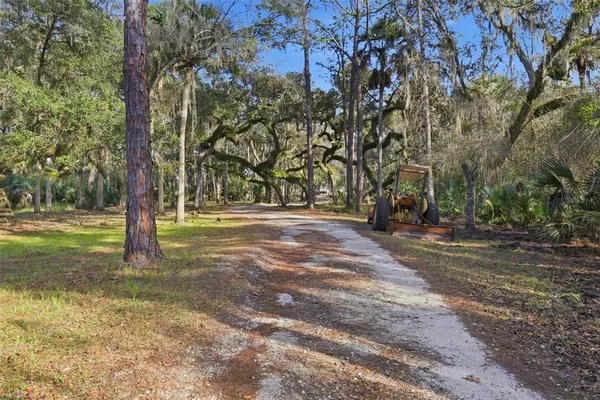 $950,000 | 539 Tabatha Drive, Osteen, FL 32764