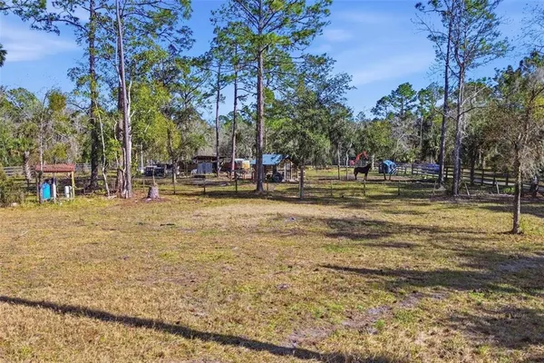 $950,000 | 539 Tabatha Drive, Osteen, FL 32764