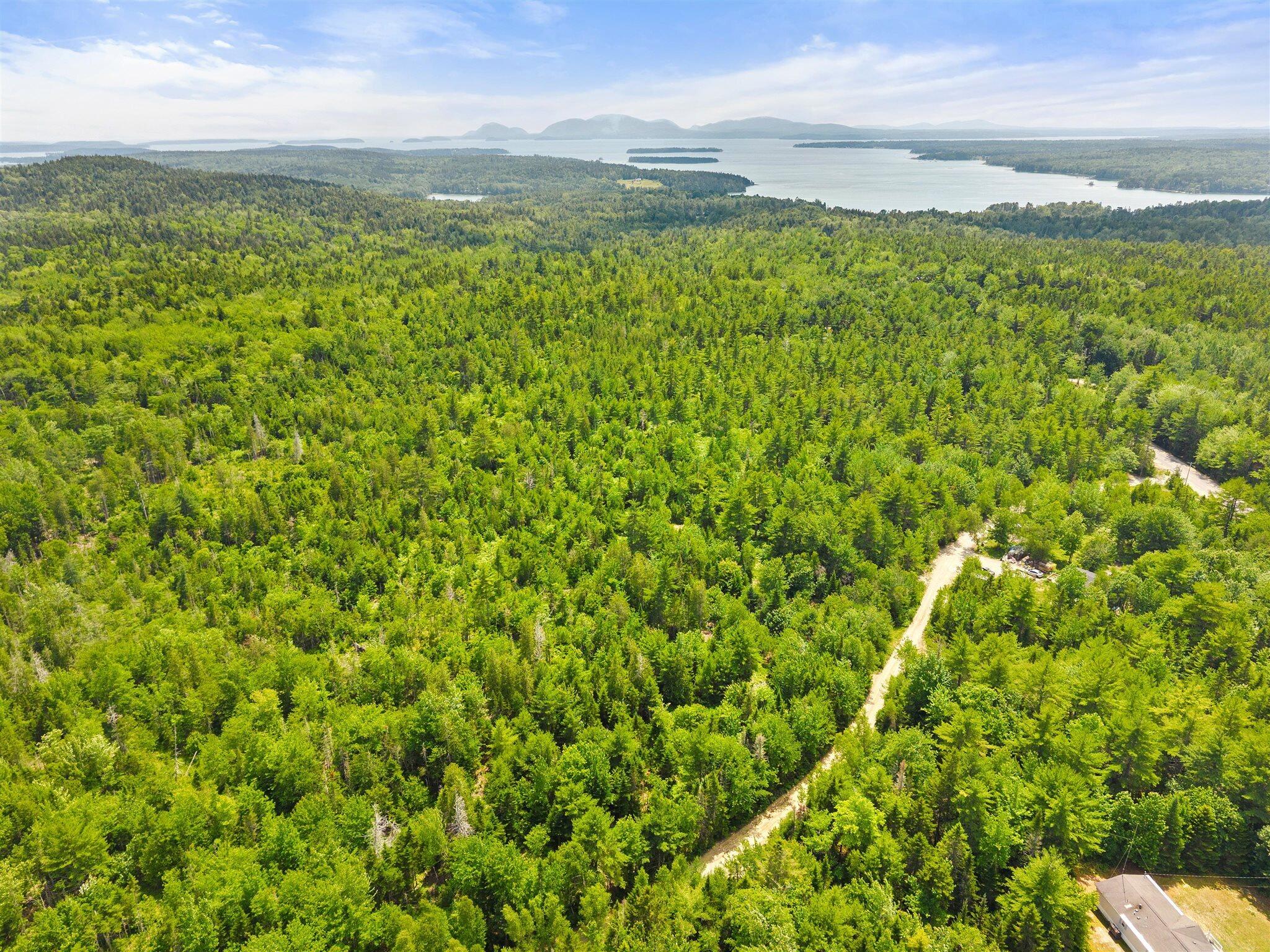 0 Catamount Road Sullivan, ME 04664 - Photo 9 of 23 09-Bert Gray Rd