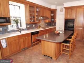 40 Raynham Road Merion Station, PA 19066 - Photo 4 of 6 Gallery Image 4