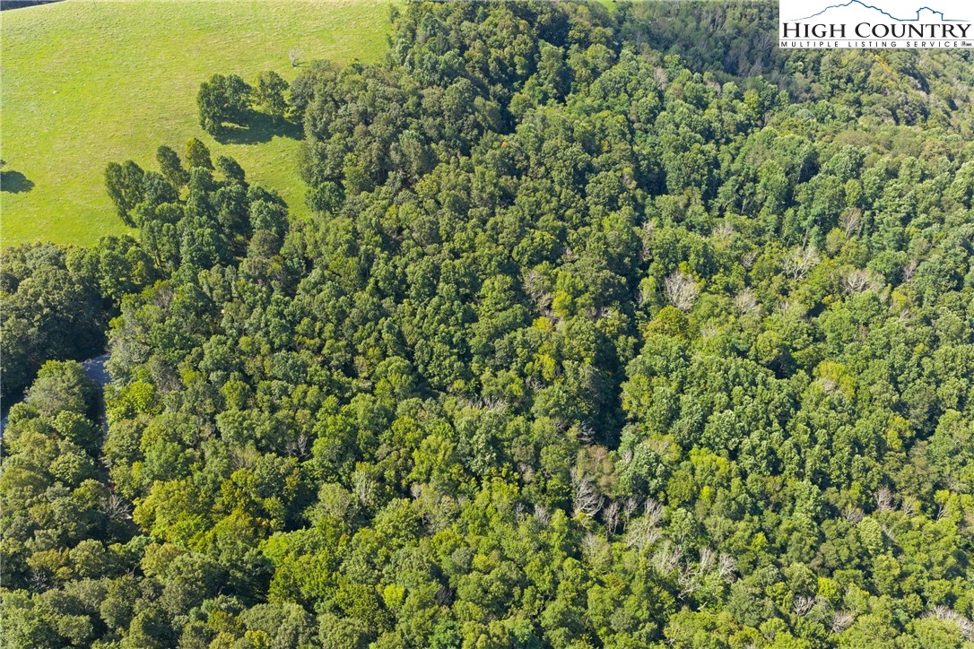 7095 Junaluska Road Boone, NC 28607 - Photo 13 of 23 Gallery Image 13