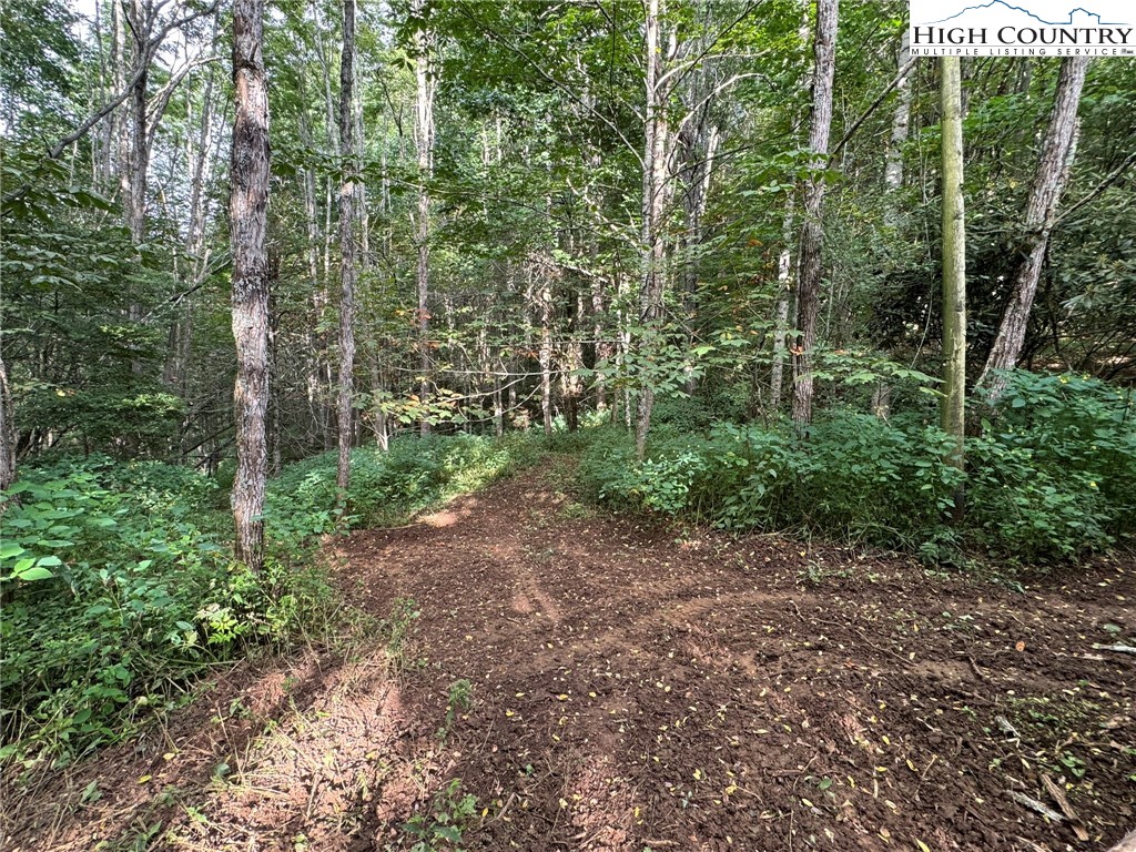 7095 Junaluska Road Boone, NC 28607 - Photo 15 of 23 Gallery Image 15